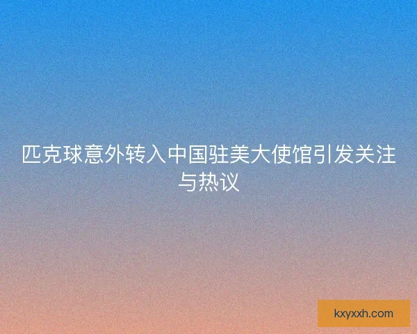 匹克球意外转入中国驻美大使馆引发关注与热议